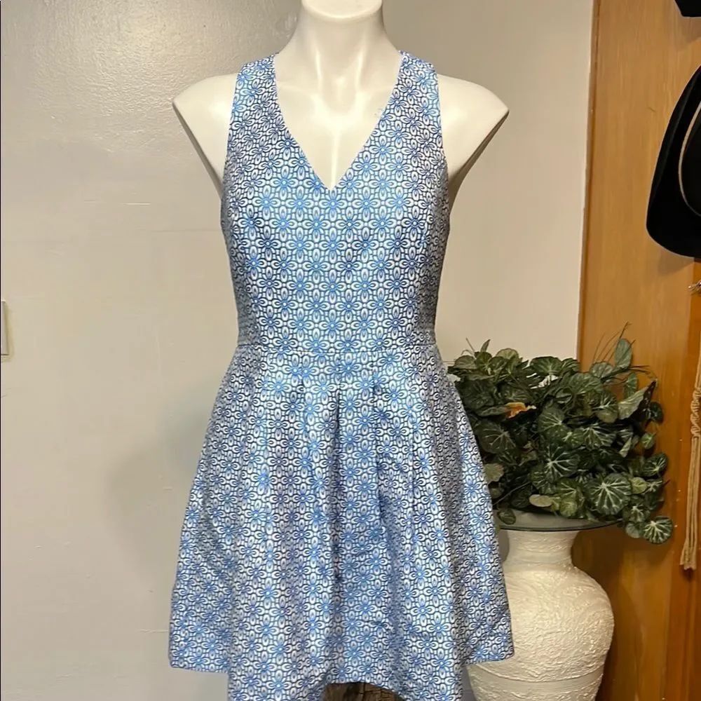 Banana Republic Blue and White Patterned Women's Dress